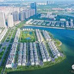 Chính chủ cần bán song lập ngọc trai đảo nhỏ vinhomes ocean park dt 165.6m giá 38.5 tỷ