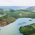 15ha, 750m mặt tiền sát hồ lớn, 1500m2 thổ cư, 1260 cây sầu riêng 6năm, nhà yến 950m2 sàn chỉ 65 tỷ