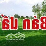 Cần bán đất phúc lợi long biên hà nội