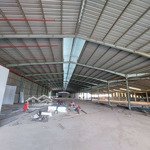 Cho thuê xưởng 5.000m2.pccc tự động ,đầy đủ giấy tờ,khánh bình ,tân u