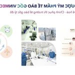 Giảm 7 tỷ khi mua căn biệt thự trước tết rộng 225m2 xây 3 tầng trung tâm móng cái