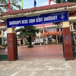 Bán đất 74,5m tại sen phương, phúc thọ, hà nội đối diện cổng trường tiểu học, giá đầu tư