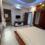 Villa mặt tiền khu họ lê full nội thất