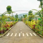 Chưa đến 2 tỷ sở hữu 186m2 view đồi núi tại hòa thạch quốc oai hn