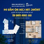 Bán căn 2.5 ngủ tầng trung giá tốt diện tích 77m2 tại dự án pg aura an đồng