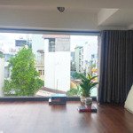 (service apartment) nhà của nắng - căn hộ xanh trung tâm quận 3