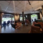 Sang quán cafe đẹp tân phú