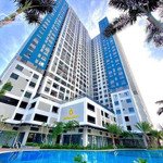 Chính chủ cho thuê căn hộ charm city 1 phòng ngủ50m2 - 6 triệu view cao, thoáng