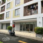 Cho thuê shophouse chung cư quận 2 parcspring nguyễn duy trinh 2 pn, ở và kinh doanh