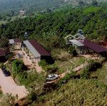 Farmstay nghỉ dưỡng - diên tích 4000m2 (400m2 thổ cư), đường betong 5m tận nhà, điện nước đầy đủ.