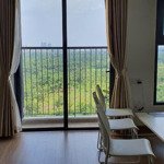 Chính chủ cho thuê nhà 58m2 park1 aquabay