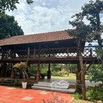 Cho thuê homestay sát sân bay 3 mặt tiền hẽm nguyễn lương bằng