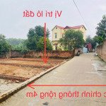 Chính chủ bán lô đất tại xuân đồng - tân minh - sóc sơn