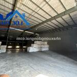 Cho thuê kho kcn long bình 1.200 m2 chỉ 55k/m2