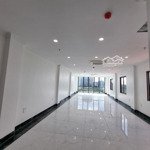 Hot! sàn chuẩn vuông vắn 2 mặt thoáng 53 yên lãng gần thái hà, sàn 80m2, 100m2, 150m2 giá cực tốt