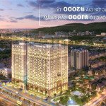 Bán căn hộ citymark residence giá chỉ 40 triệu/m² tại bà rịa vũng tàu