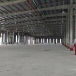 Cho thuê mặt bằng đất trống 10.000 m2 kcn thịnh phát, long an.