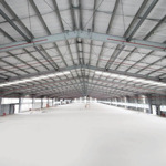 Cho thuê kho xưởng mới 5000m2, 8000m2, 12.000m2 kcn long hậu, long hậu, cần giuộc, long an