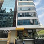 Building hoàng hoa thám ngang 8m hầm 6 lầu thang máy - 928m2 sàn 41,8 tỷ tl