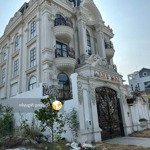 (31.10) ngộp bank bán gấp villa đặng như mai, 20x15m 99 tỷ có hầm + st, gần ubnd tp thủ đức