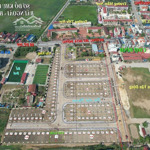 đấu giá hoa động, tp thuỷ nguyên điểm sáng đầu tư cuối năm 2024