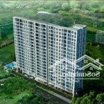 Cho thuê gấp căn hộ tại lotus apartment đường lạc long quân, quận 11, hcm