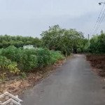 Gấp gấp bán nhanh lô đất long thành 3.600m2, đường nhựa, đất một sec, full thổ cư