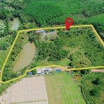 Cần bán nhà vườn rộng 1,5ha gần kdl bà nà có sẳn farm cho khách lên chơi ở lại tiện nghi đầy đủ