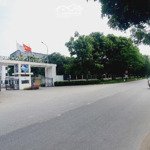 Bán đất khu đấu giá gia thươngn quang minh 89m2 mt 4.7 ưu tiên kinh doanh vị trí đẹp