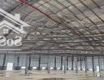 Nhà xưởng kcn cộng hòa, 2.000m2 đến 30.000m2, pccc tự động sprinkler, epe/fdi, 60nghìn/m2/th