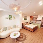 Hoa hậu ! homestay phố cổ hàng than_ba đình_ 2 thoáng 50m2 d/tiền 25tr/thg giá 3,19 tỷ