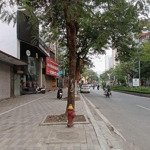 Bán Đất Phân Lô Mặt Ngõ Ô Tô Tránh Phố Lạc Long Quân, 140M2 Mặt Tiền 8M, Nhỉnh 30 Tỷ