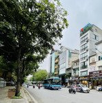 Cc bán gấp tòa mặt phố nguyễn thái học, ba đình 2 thoáng, kd sầm uất ngày đêm, dt 150m2 8 nổi 1 hầm