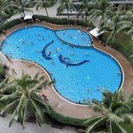 Bán nhanh căn hộ 1pn +1 tại vinhomes ocean park, chỉ 2,33 tỷ vnd