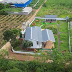 1221m2 đất tặng kèm 2 căn homestay nghỉ dưỡng ven đà lạt, giá ngộp oxy