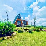 [lộc bắc- bảo lâm] đất nghĩ dưỡng view hồ 1028m2 giá chỉ 510 triệu. sẵn sổ hồng. có hỗ trợ vay bank