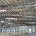 Bán xưởng 50.000m2 đường quốc lộc 22b huyên gò dầu , tỉnh tây ninh