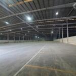 Cho thuê kho diện tích 3000m2; 5000m2; 10000m2; 30000m2 giá tốt trong kcn phú mỹ, bà rịa vũng tàu