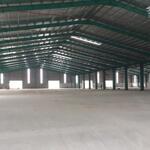 Bán xưởng 20.000m2 kcn tân phước, tiền giang