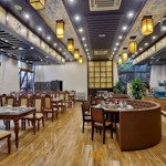 Cho thuê mặt bằng kinh doanh trần thái tông, thông sàn. dt: 200m2, mt: 6m, giá chỉ 60tr/tháng