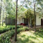 Bán biệt thự forest villa, 140m2, giá bán 2,7 tỷ