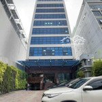 Bán gấp building mt mạc đỉnh chi - lê duẩn, q.1, 11x20m, hầm, 7 lầu, hđt 576 triệu/tháng, 258 tỷ