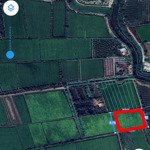 Bán nhanh 5000m2 đất vườn, khu phố 1, thị trấn đức hòa, long an