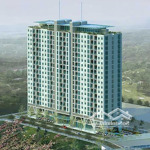 (tin thật) cho thuê căn hộ tại hoa sen - lotus apartment, 11 triệu/th q. 11