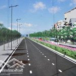 (giá đầu tư) bán đất mặt đường tam trinh-tân mai, quy hoạch ổn định: 1130m2, mt 50m (195tr/1m2 )