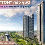 Quỹ vip chung cư vinhomes cổ loa chỉ từ 1 tỷ.