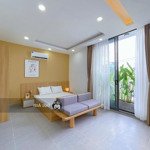 Chung cư mini 1pn 42m2 ban công full nt mới, máy giặt riêng gần chợ bà chiểu chỉ 9.000.000đ/th