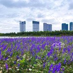 Bán căn hộ 3 ngủ , tòa s1-2 , chung cư sky oasis ecopark - giá 4 tỷ 250 bao thuế phí