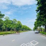 Bán đất phân lô quân đội a38 tư đình, 180m2, mặt tiền 6m, giá hơn 30 tỷ