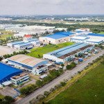 đất ngộp chính chủ ngay ubnd xã, 257m2 có sẵn thổ cư đối diện kcn giá 195tr